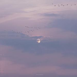 香港少妇寂寞孤独xxxxx
